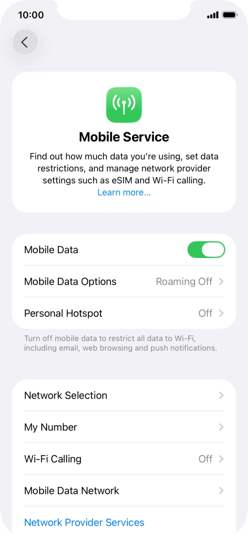 Press Mobile Data Options.