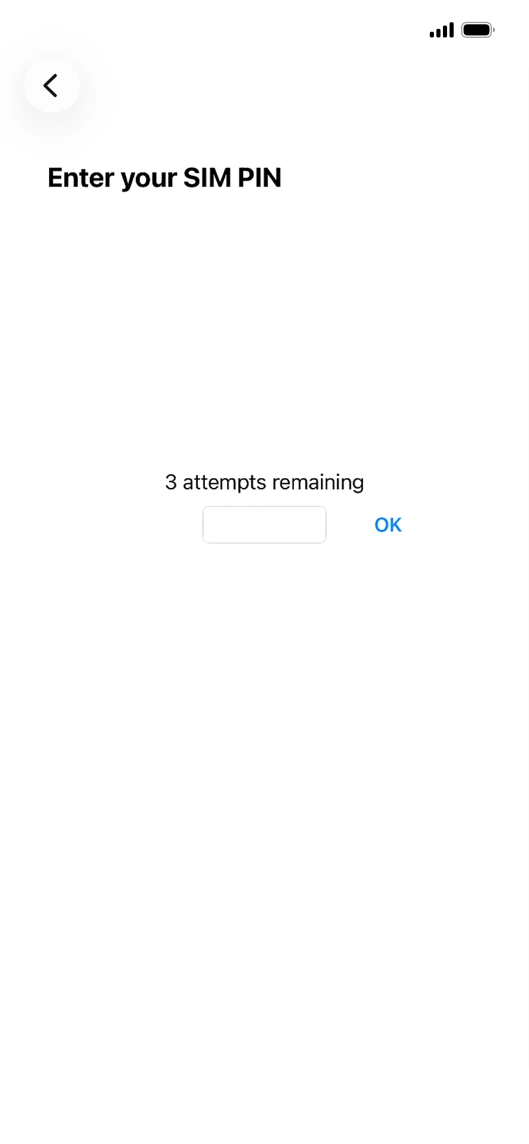 If your SIM is locked, key in your PIN and press OK. The default PIN is 1111.