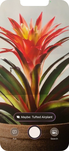 For information about animals and plants, press the information field.