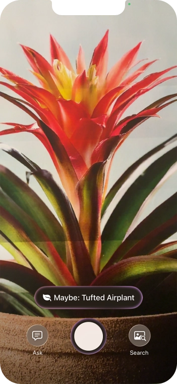 For information about animals and plants, press the information field.