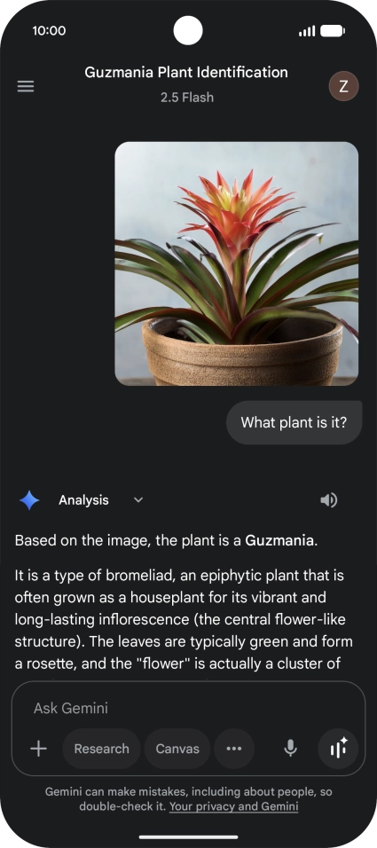 Follow the instructions on the screen to type or speak the required question. You can also attach pictures or documents and ask questions to them.