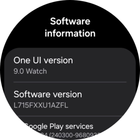 The software version of your smartwatch is displayed below One UI version.
