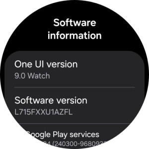 The software version of your smartwatch is displayed below One UI version.