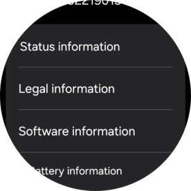 Press Software information.
