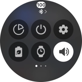 Press the sound mode icon the necessary number of times to turn silent mode on or off.