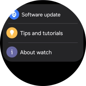 Press Software update.