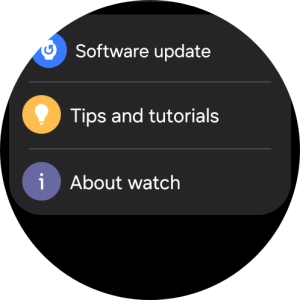 Press Software update.