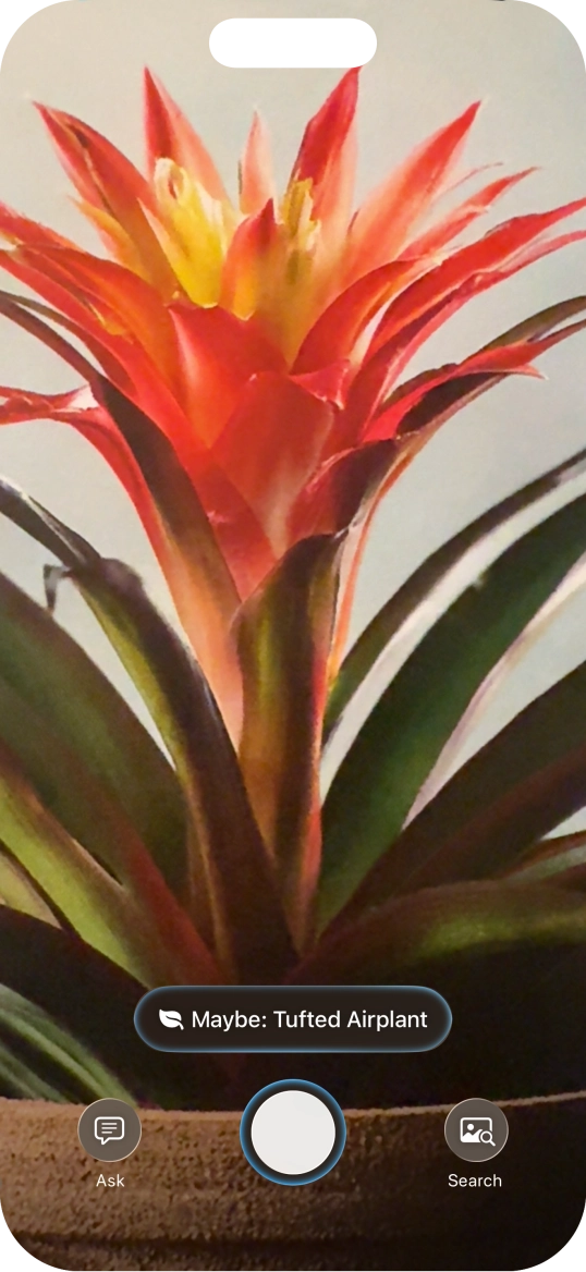 For information about animals and plants, press the information field.