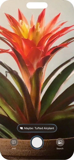 For information about animals and plants, press the information field.