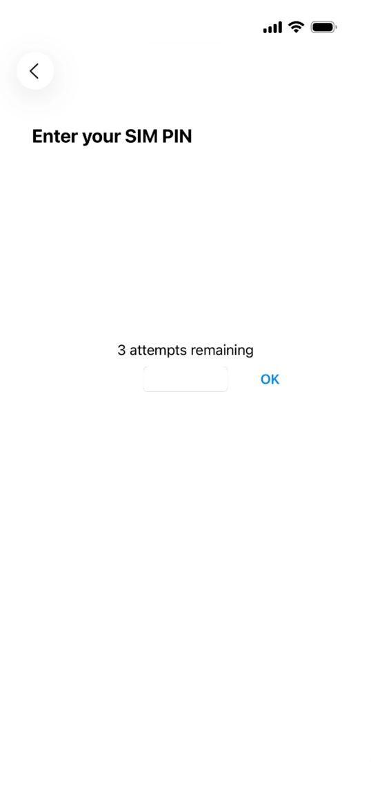 If your SIM is locked, key in your PIN and press OK. The default PIN is 1111.