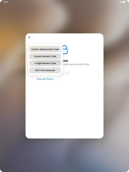 Follow the instructions on the screen to turn on use of lock code or press Don't Use Passcode. Follow the instructions on the screen to turn on use of lock code or press Don't Use Passcode.