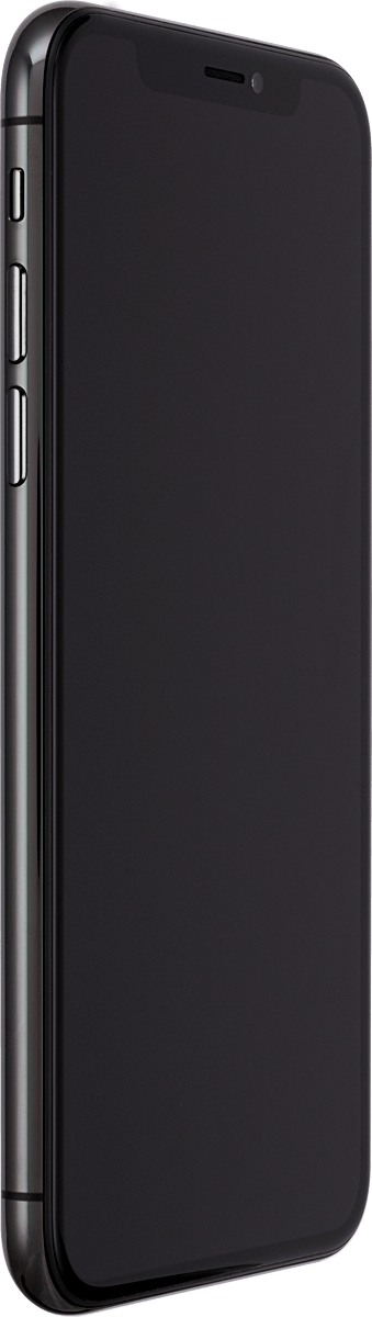 Select ring volume - Apple iPhone X 
