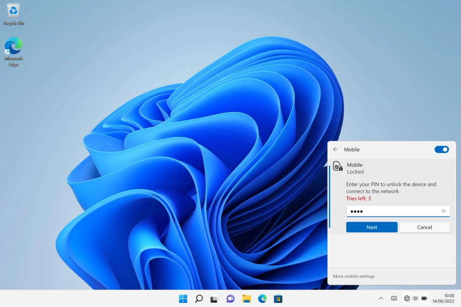 Key in your PIN and click Next. The default PIN is 1111.