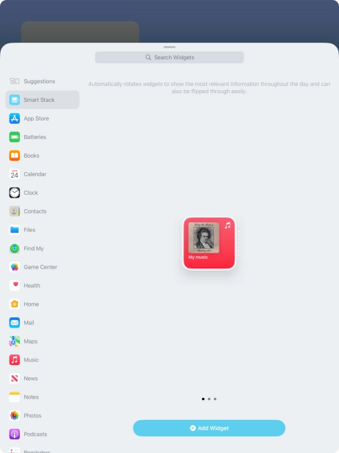 Slide your finger right or left on the screen to select the required widget size.