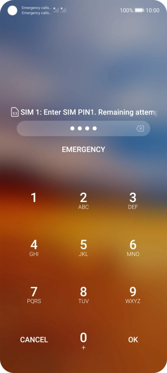 If you're asked to key in your PIN, do so and press OK. The default PIN is 1111.