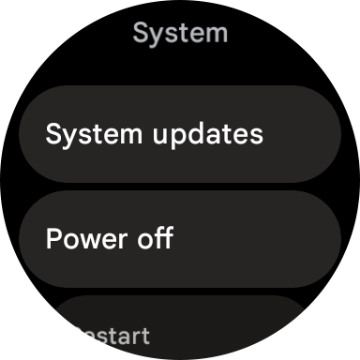 Press System updates. If a new software version is available, it's displayed. Follow the instructions on the screen to update the smartwatch software.