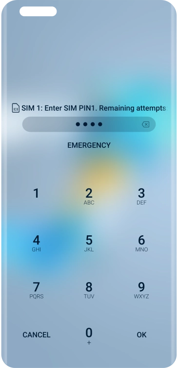 If you're asked to key in your PIN, do so and press OK. The default PIN is 1111.