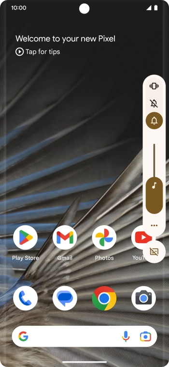 Press the silent mode icon to turn on the function.