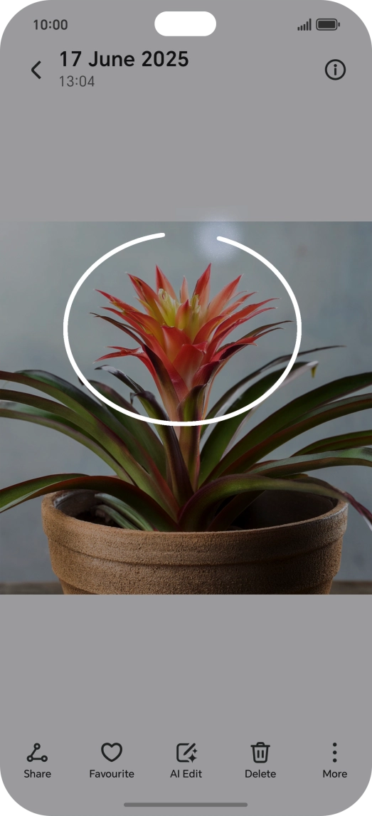 Draw a circle around the required object on the picture using your knuckle.