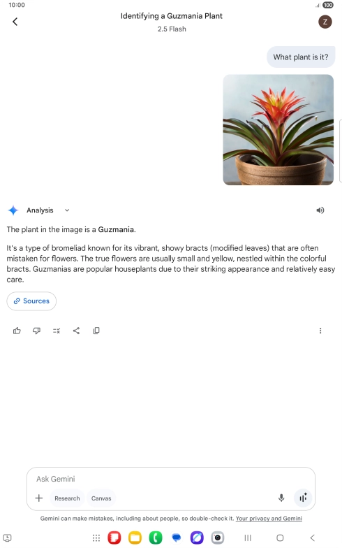 Follow the instructions on the screen to type or speak the required question. You can also attach pictures or documents and ask questions to them.