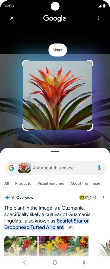 Press and hold the Home key.