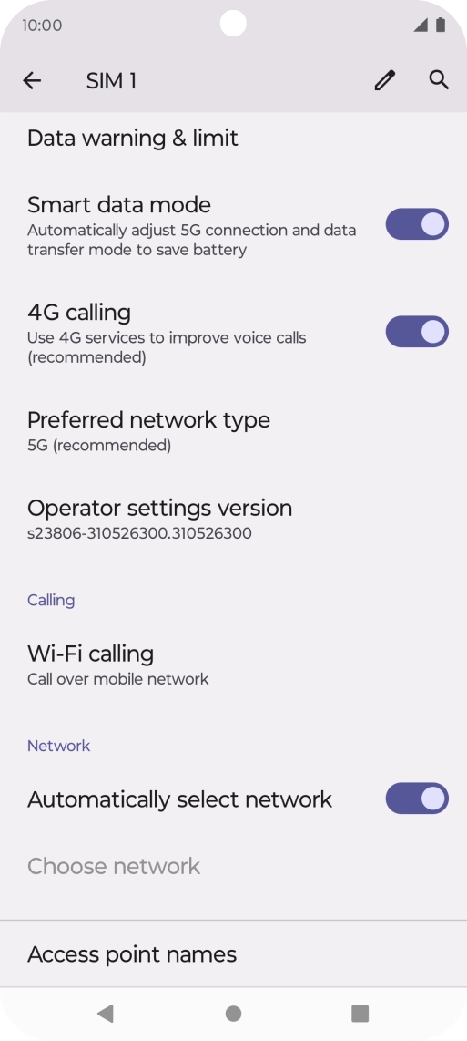 Press Preferred network type.