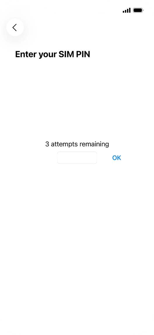 If your SIM is locked, key in your PIN and press OK. The default PIN is 1111.