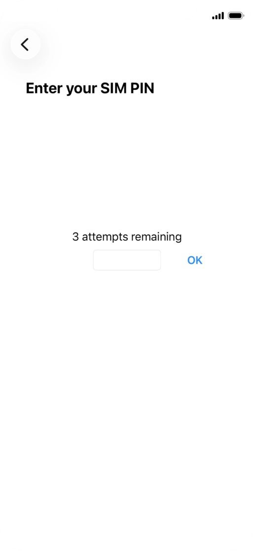 If your SIM is locked, key in your PIN and press OK. The default PIN is 1111.