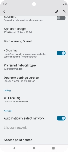 Press Preferred network type.
