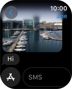 Press SMS.