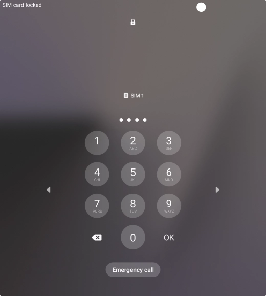 If you're asked to key in your PIN, do so and press OK. The default PIN is 1111.