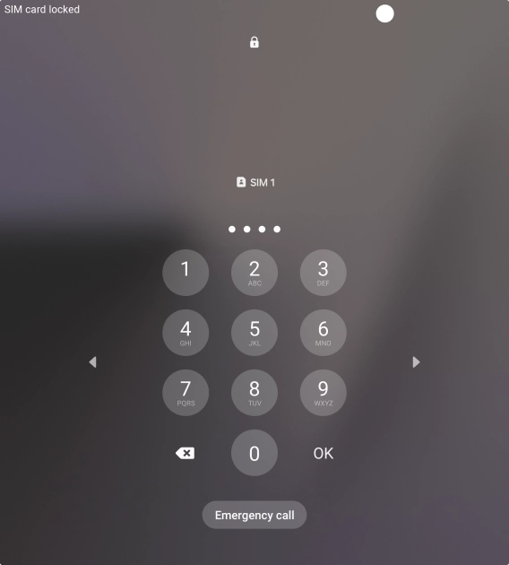 If you're asked to key in your PIN, do so and press OK. The default PIN is 1111.