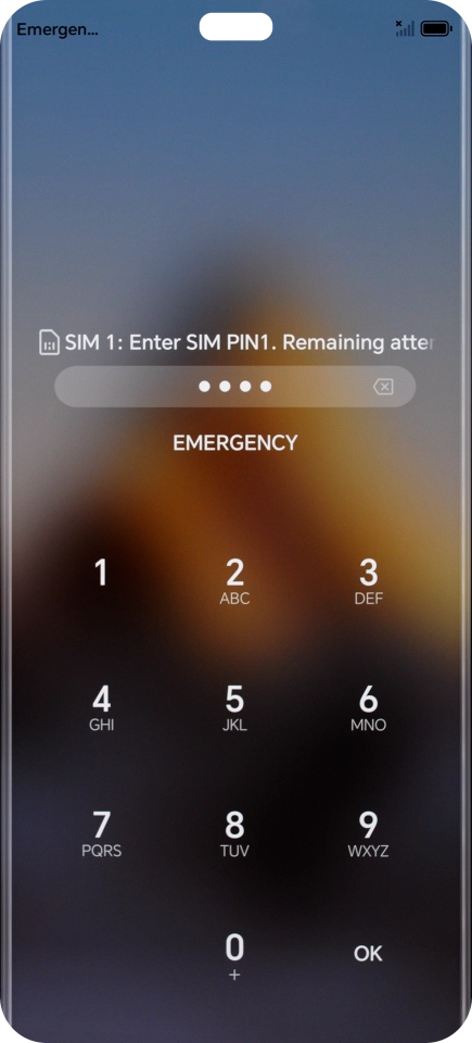 If your SIM is locked, key in your PIN and press OK. The default PIN is 1111.