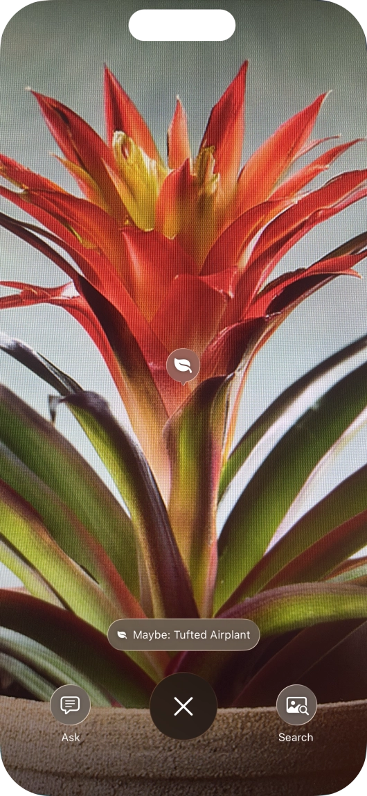 For information about animals and plants, press the information field.