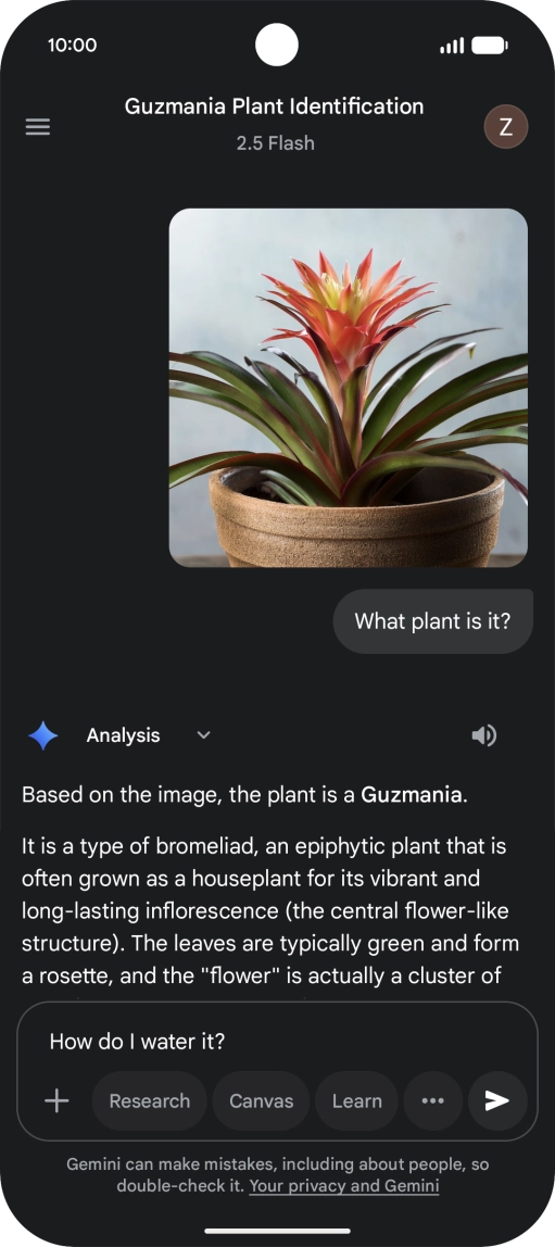 Follow the instructions on the screen to type or speak more questions to continue the conversation.