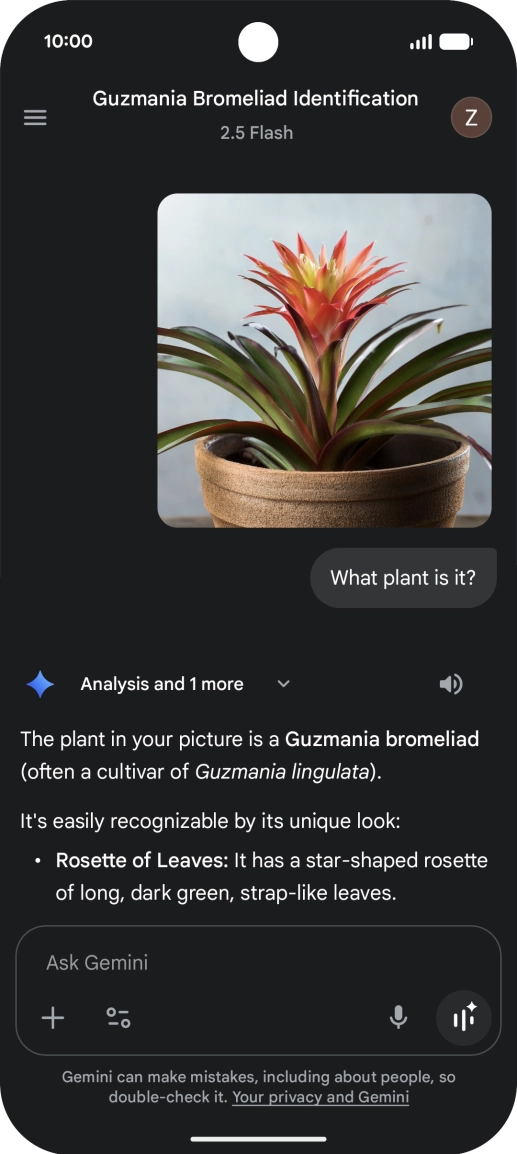 Follow the instructions on the screen to type or speak the required question. You can also attach pictures or documents and ask questions to them.