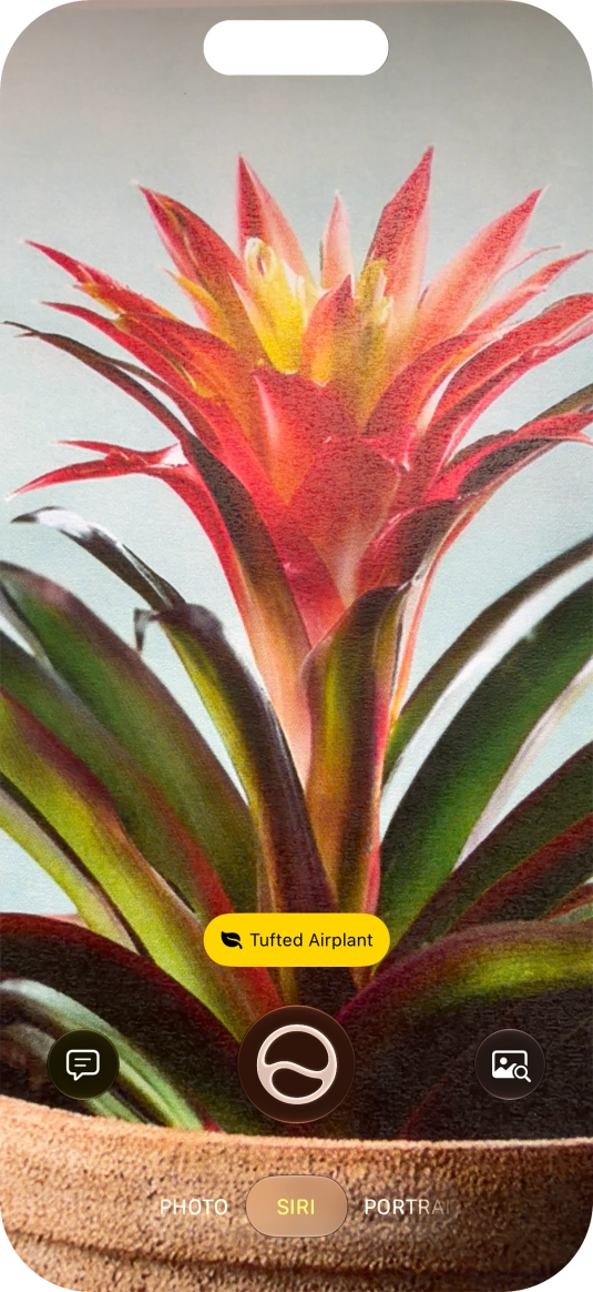 For information about animals and plants, press the information field. For information about animals and plants, press the information field.