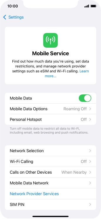 Press Mobile Data Options.