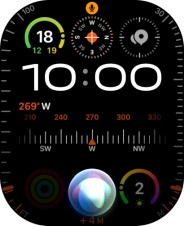 Say, in your own words, what you would like your Apple Watch to do.