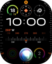 Say, in your own words, what you would like your Apple Watch to do.