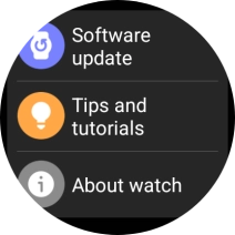 Press Software update.