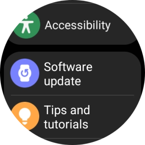 Press Software update.