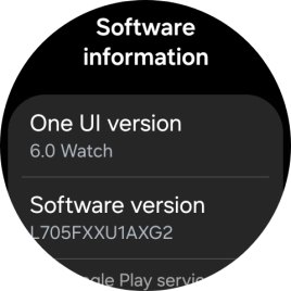The software version of your smartwatch is displayed below Software version.
