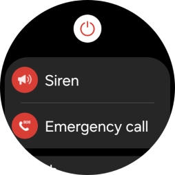 Press Siren and follow the instructions on the screen to start and stop the siren.