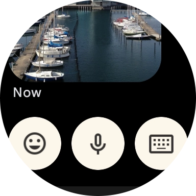 Press the microphone icon and follow the instructions on the screen to record and send the required reply.
