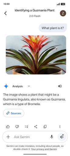 Follow the instructions on the screen to type or speak the required question. You can also attach pictures or documents and ask questions to them.