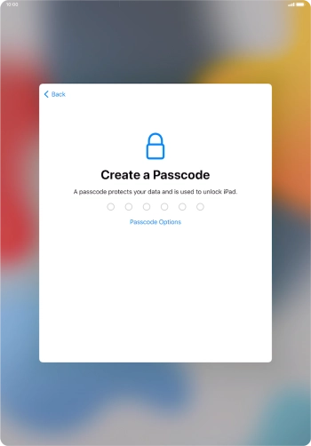 Press Passcode Options.