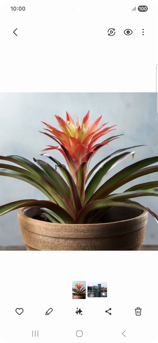 Go to the required picture.