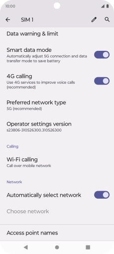 Press Preferred network type.