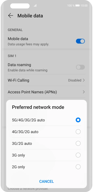 Press the required network mode.